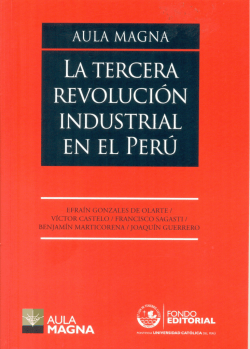 descargar (12 mb) - Francisco Sagasti