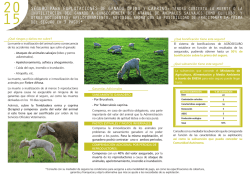 Descargar Folleto