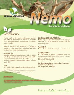 ficha nemo carta WEB