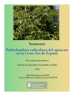 Dr. Carlos L&oacute;pez Herrera. Seminario