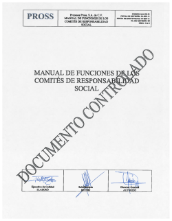 Manual de funciones - Infosel Financiero