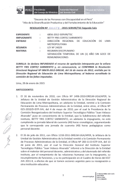 "Decenio de las Personas con Discapacidad en el Perú"