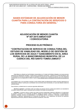 Bases contrataci&oacute;n