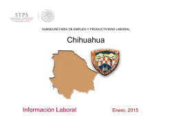 Chihuahua