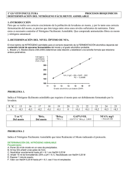 Descarga el PDF de la pr&aacute;ctica