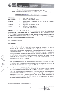 "Decenio de las Personas con Discapacidad en el Perú”