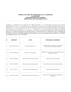 tribunal electoral del poder judicial de la federaci&oacute;n sala superior