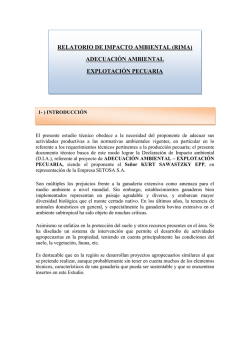 RELATORIO DE IMPACTO AMBIENTAL (RIMA