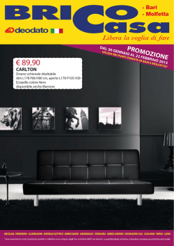 promozione dal 30 Gennaio al 22 Febbraio - Brico