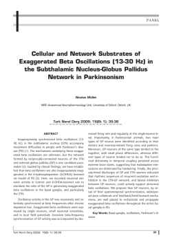 in the Subthalamic Nucleus-Globus Pallidus Network i