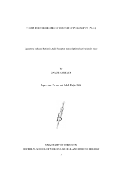 THESIS FOR THE DEGREE OF DOCTOR OF PHILOSOPHY