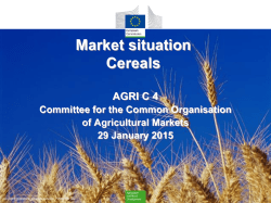 Market situation Cereals