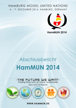 Abschlussbericht HamMUN 2014