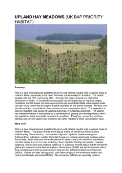 upland hay meadows - Scottish Natural Heritage