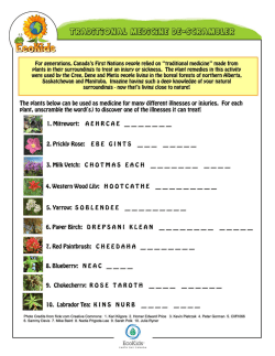 Plant Medicine Activity page 2 answers - flat.psd