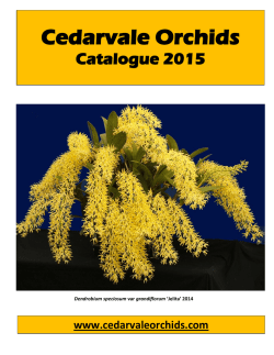 2014 Catalogue - Cedarvale Orchids