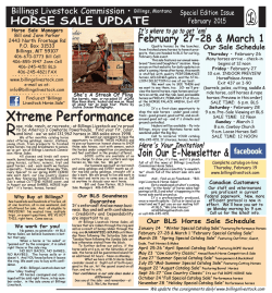 horse sale update - Billings Livestock Commission