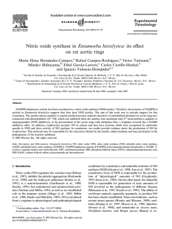 Nitric oxide synthase in Entamoeba histolytica: its