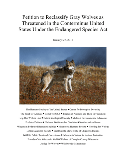 Gray Wolf Downlisting Petition - Center for Biological Diversity