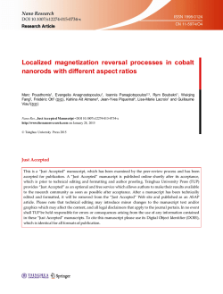 Localized magnetization reversal processes in