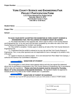 YCSEF Project Participation Form 2015