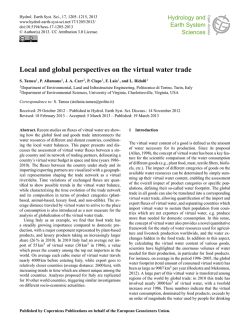 Local and global perspectives on the virtual water