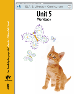 Grade 1: Skills Unit 5 Workbook (2.01 MB)