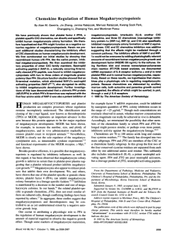 Chemokine Regulation of Human Megakaryocytopoiesis