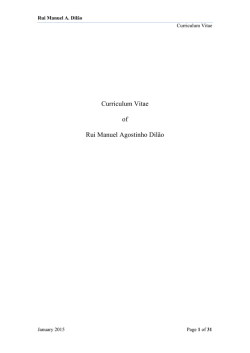 Curriculum Vitae of Rui Manuel Agostinho Dilão