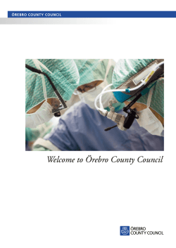 Welcome to &Ouml;rebro County Council