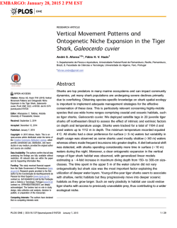 Vertical Movement Patterns and Ontogenetic Niche Expansion in the