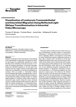 Visualization of Leukocyte Transendothelial and Interstitial