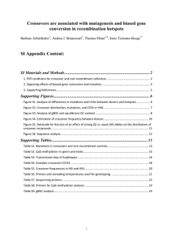 Download Appendix (PDF)