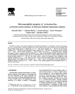 Microaerophilic property of Actinobacillus actinomycetemcomitans in