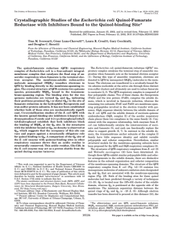 Crystallographic Studies of the Escherichia coli Quinol