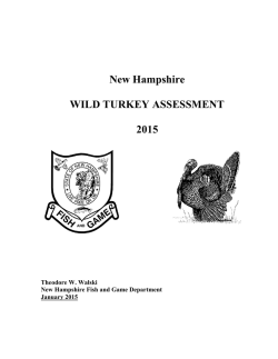 NH 2015 Wild Turkey Assessment