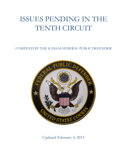 Issues Pending in the 10th Circuit