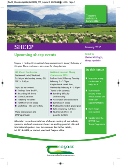 Sheep Newsletter - January 2015