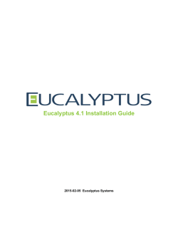 Eucalyptus 4.1 Installation Guide
