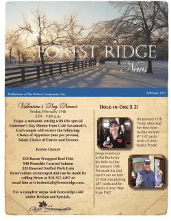 View - Forest Ridge