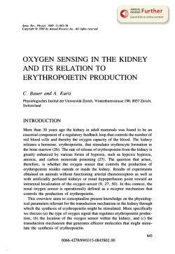 Oxygen Sensing in the Kidney and its Relation to