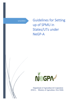 Guidelines for Setting up of SPMU in States/UTs under NeGP‐A