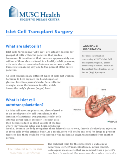 Islet Cell Transplant Surgery - MUSC Digestive Disease Center