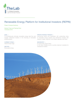 Renewable-Energy-Platform-for-Institutional-Investors-REPIN-Lab