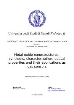 Università degli Studi di Napoli Federico II Metal oxide