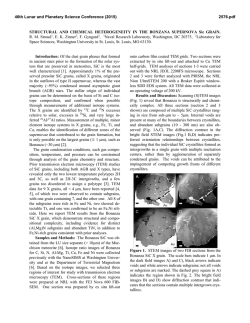 Structural and Chemical Heteorogeneity in the Bonzana Supernova