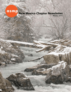 Winter 2015 NM ASMP Newsletter