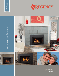 Regency Gas Insert Brochure - Regency Fireplace Products