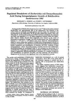 bacteriovorus 109J - Journal of Bacteriology