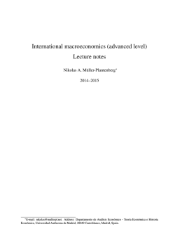 International macroeconomics (advanced level) Lecture notes